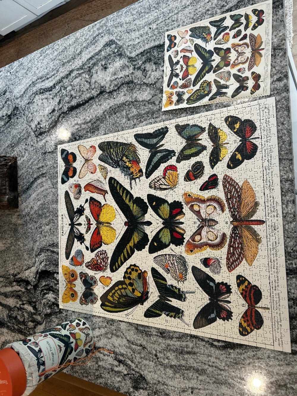 CAVALLINI & CO. 1000 PIECES VINTAGE PUZZLE BUTTERFLIES - Picture 5 of 8